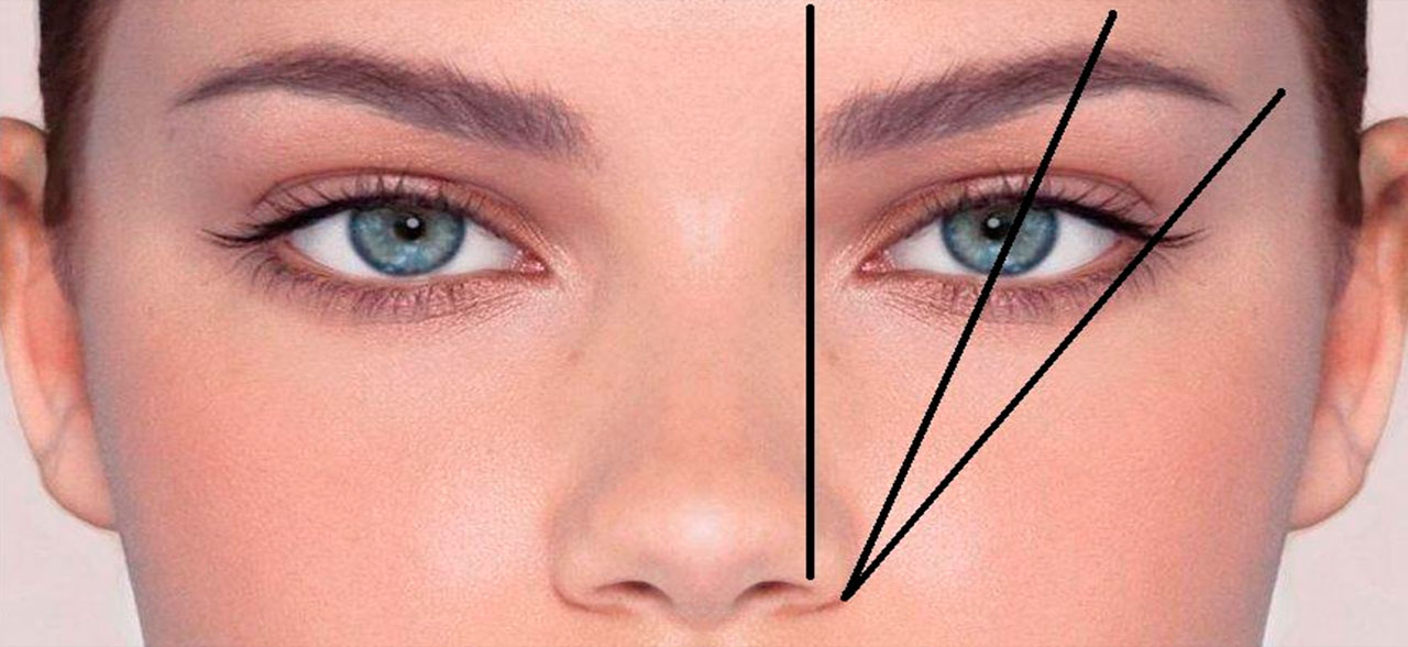 Как правильно выщипать брови если у вас треугольное лицо